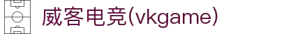 威客电竞 - 让每一份电竞才华都更有价值